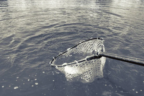 Pesca Alla Trota Nel Lago Pesca Ricreazione — Foto Stock