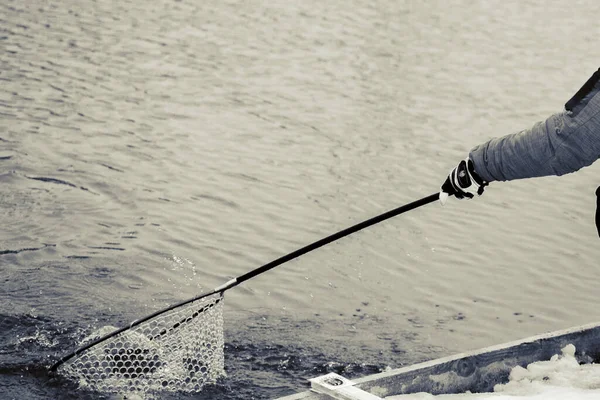 Trout Fishing Dark Background — Stock Photo, Image