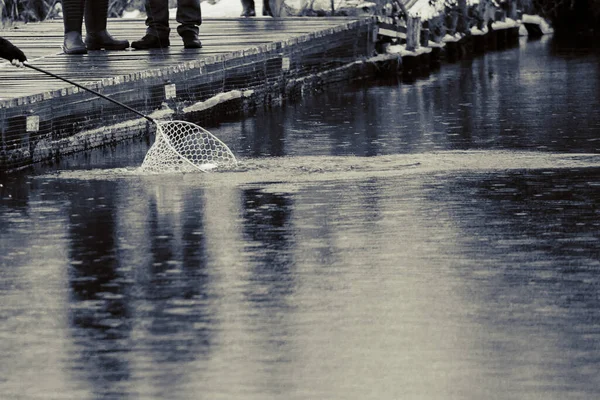 Pesca Alla Trota Fondo Scuro — Foto Stock