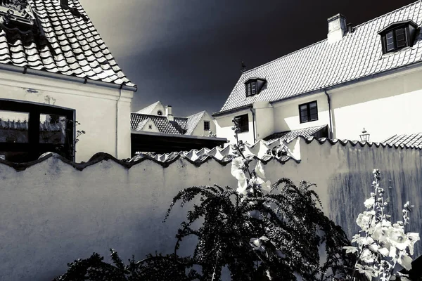 Schönes Malerisches Dänisches Dorf — Stockfoto