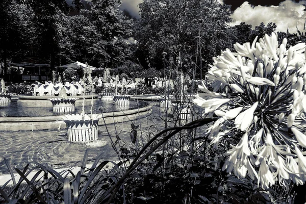 Kopenhag Daki Güzel Park Bahçe Çekim — Stok fotoğraf