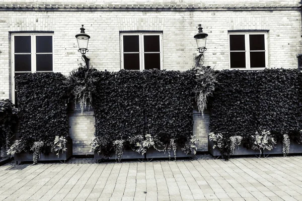 Schöner Grüner Park Kopenhagen — Stockfoto