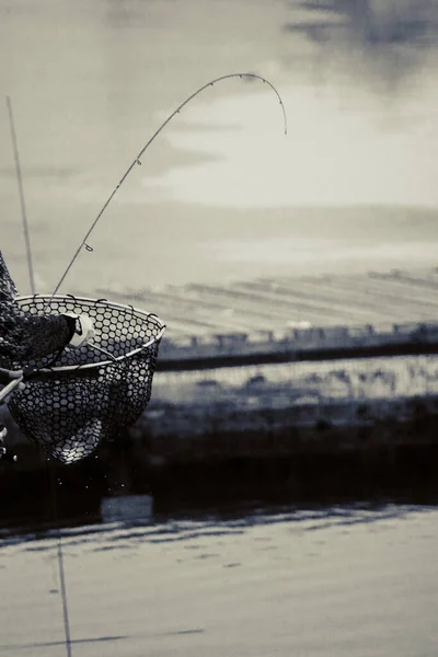 Pesca Alla Trota Sul Lago — Foto Stock