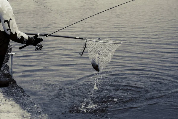 Forellenangeln Auf Dem See Freizeitfischerei — Stockfoto