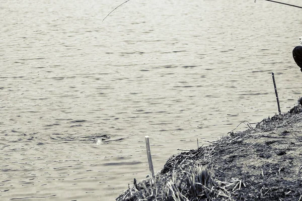 Pesca Lúcio Lago Recreação Pesca — Fotografia de Stock