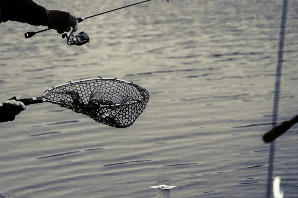 Pesca Alla Trota Sul Lago — Foto Stock