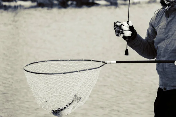 Pesca Truta Fundo Escuro — Fotografia de Stock