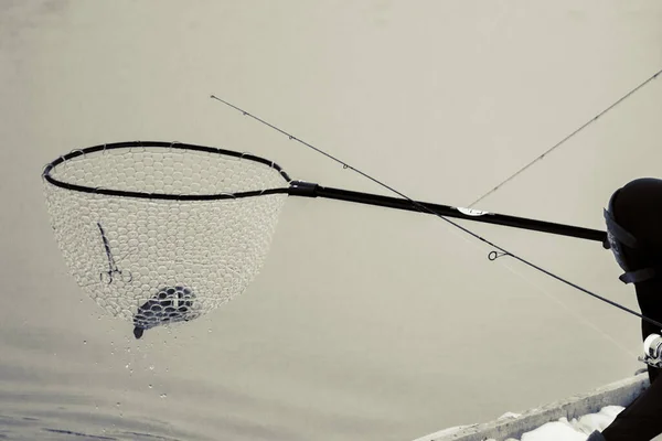 Forellenfischen Dunklen Hintergrund — Stockfoto