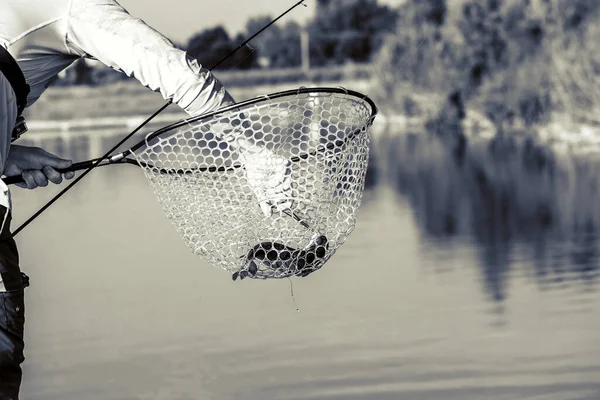 Torneo Pesca Recreación Naturaleza Fondo — Foto de Stock