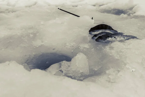 Pesca Gelo Inverno Lago Gelado — Fotografia de Stock