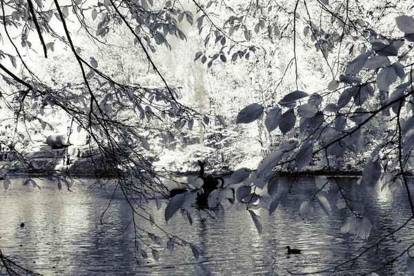 美しい歴史公園の豪華な秋 — ストック写真