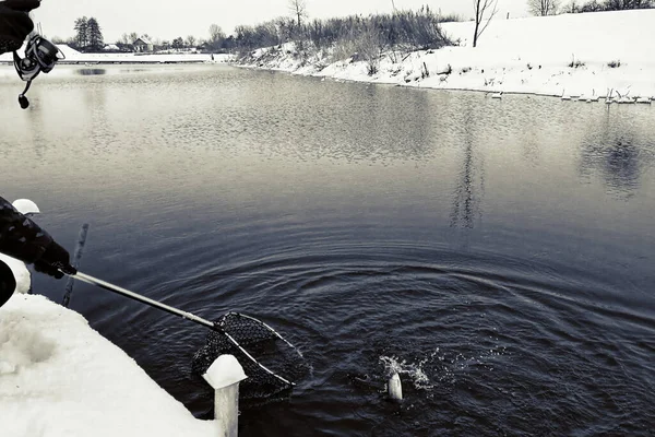 Pesca Truta Lago — Fotografia de Stock