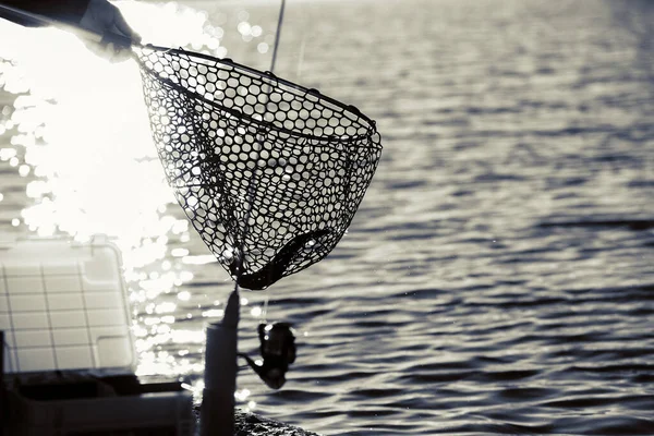 湖でのマス釣り — ストック写真