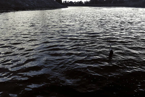 Риболовля Щукою Озері Риболовля Відпочинок — стокове фото