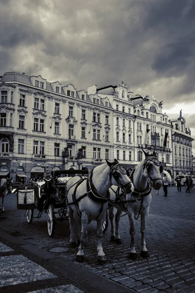 Belle Strade Architettura Autunno Praga — Foto Stock