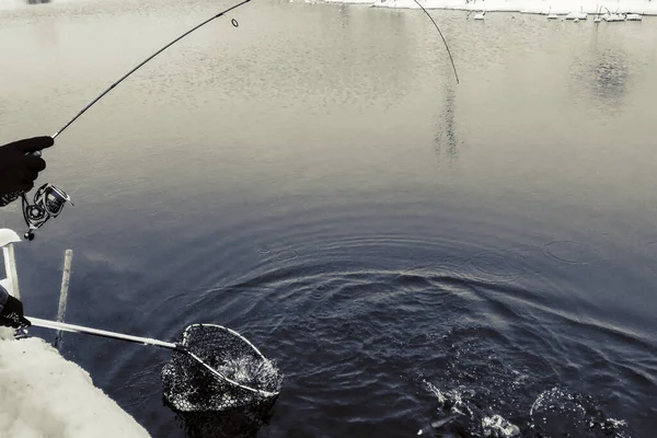 Pesca Alla Trota Sul Lago — Foto Stock