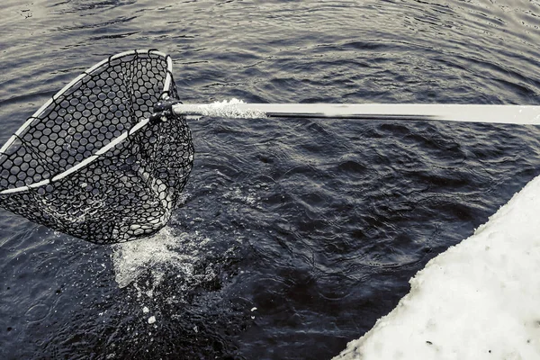 Pesca Truta Fundo Escuro — Fotografia de Stock