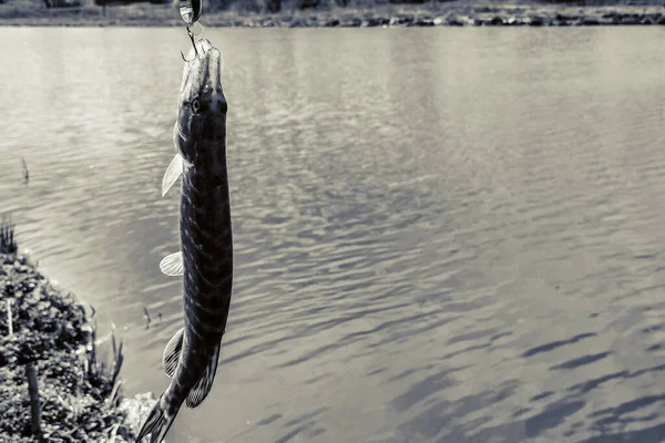 Pesca Descanso Rural Contexto Sobre Tema Recreación —  Fotos de Stock