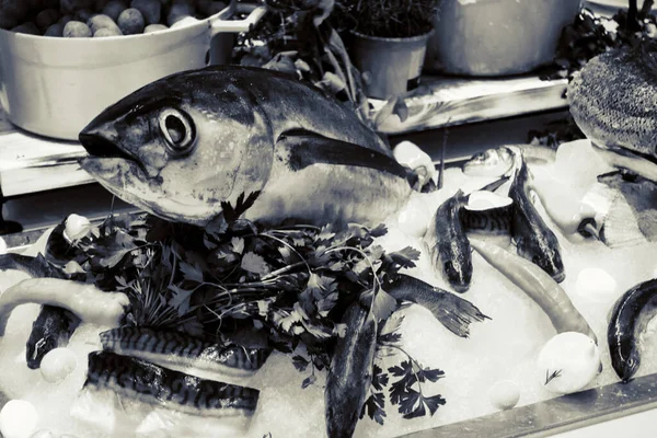 Fish Display Restaurant — Stock Photo, Image