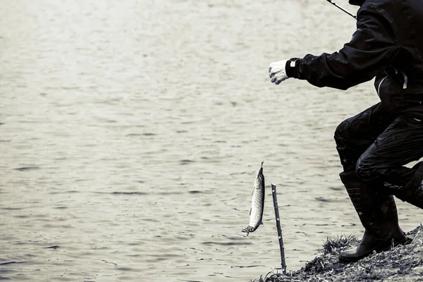 Hechtangeln Auf Dem See Freizeitfischerei — Stockfoto