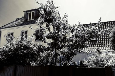 Resimli bir köyde güzel bir Danimarka mimarisi