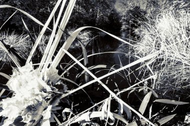 Güzel bir tarihi parkta muhteşem bir sonbahar.