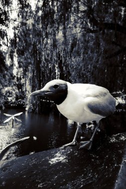 Kopenhag 'ın sokakları ve eğlence yerleri, Kopenhag gezisi.