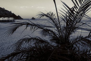 Deniz kenarındaki güzel resort peyzaj