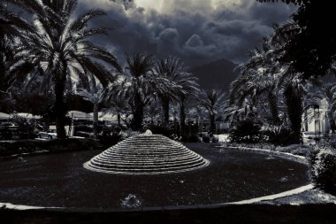 Güzel tatil beldesi. Yeşil ve çiçekler