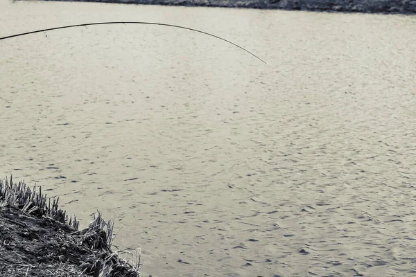 派克在湖上钓鱼 钓鱼娱乐 — 图库照片