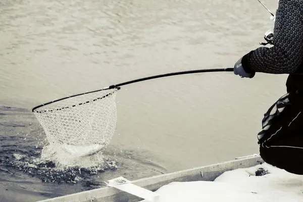 Pesca Truta Fundo Escuro — Fotografia de Stock