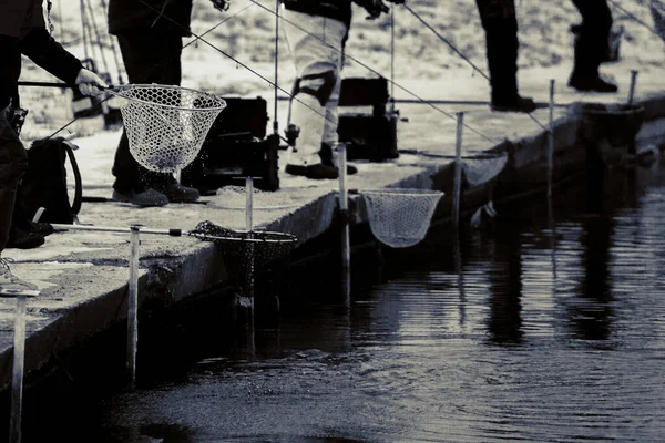 Pesca Truchas Lago Recreo Pesca —  Fotos de Stock