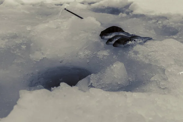 Vinterisfiske Frostig Sjö — Stockfoto