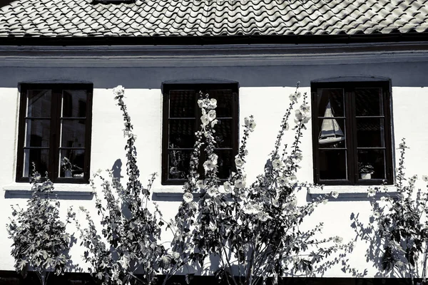 Piękna Duńska Architektura Malowniczej Wiosce — Zdjęcie stockowe