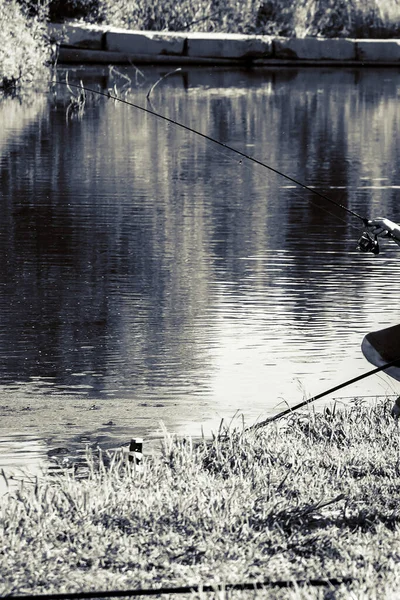 Torneio Pesca Recreação Natureza Fundo — Fotografia de Stock