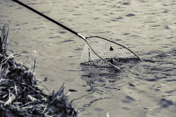 Pesca Del Luccio Sul Lago Attività Ricreative Pesca — Foto Stock