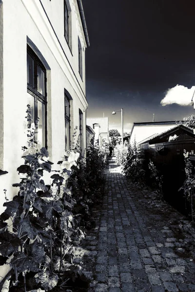 Beautiful Picturesque Danish Village — Stock Photo, Image