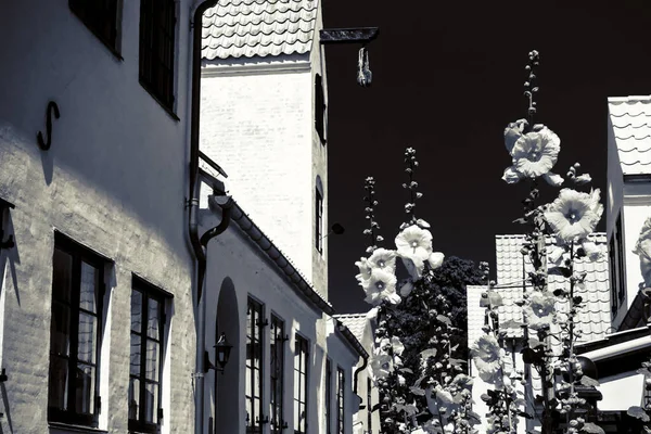 Όμορφη Δανική Αρχιτεκτονική Ένα Γραφικό Χωριό — Φωτογραφία Αρχείου