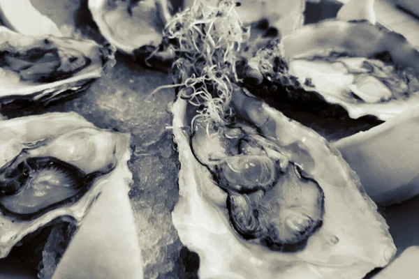 Ostron Bordet Läcker Lunch — Stockfoto