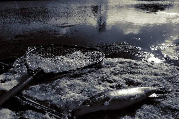 Pesca Del Luccio Sul Lago — Foto Stock