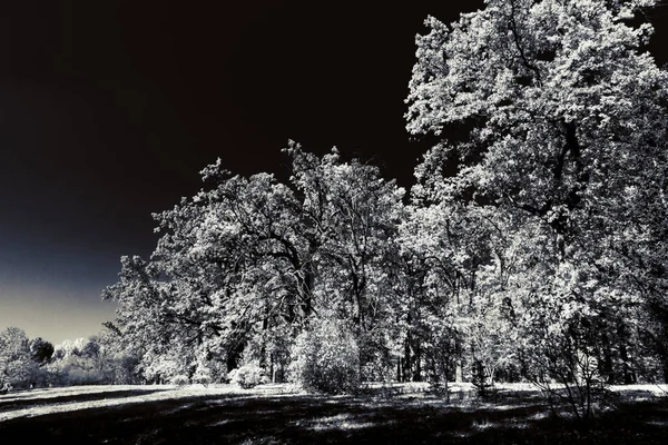 Superbe Automne Dans Magnifique Parc Historique — Photo