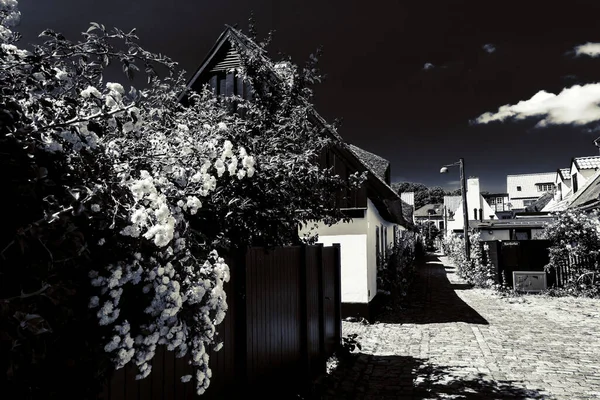그림같이 아름다운 마을에 아름다운덴 — 스톡 사진