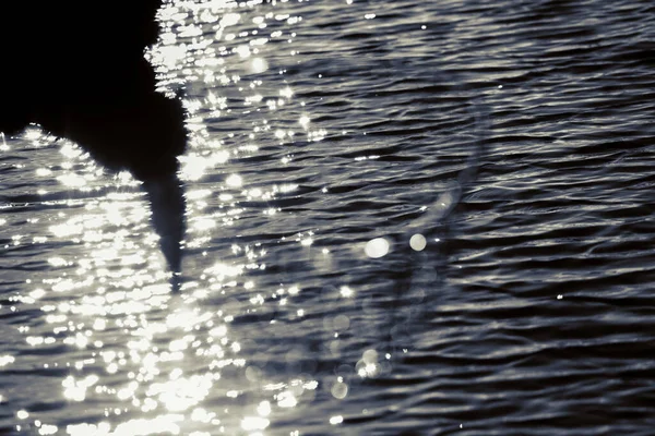 Trout Fishing Lake — Stock Photo, Image