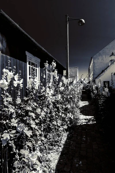 Beautiful Picturesque Danish Village — Stock Photo, Image