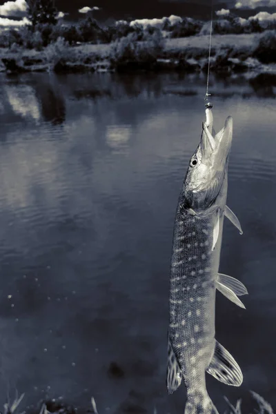 Pesca Riposo Campagna Contesto Sul Tema Della Ricreazione — Foto Stock