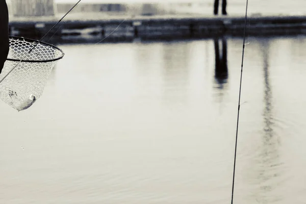 Pesca Truta Fundo Escuro — Fotografia de Stock