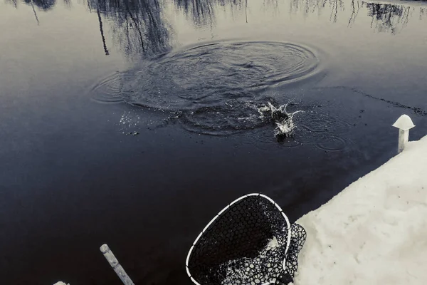 Рыбалка Фоном — стоковое фото