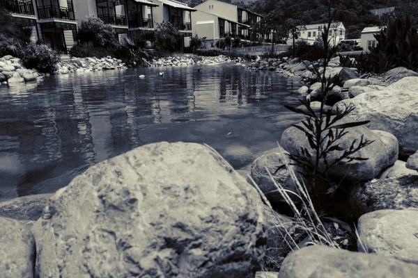 Kıyıdaki Güzel Hamak — Stok fotoğraf