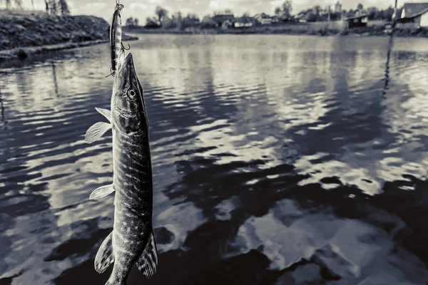 Pesca Riposo Campagna Contesto Sul Tema Della Ricreazione — Foto Stock