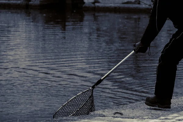 Pesca Trutas Lago Recreação Pesca — Fotografia de Stock